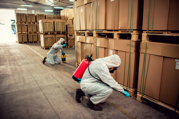 Best Local Pest Control Services  in Englewood Cliffs, NJ