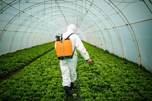 Best Ant Control Services  in Englewood Cliffs, NJ