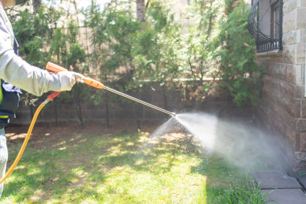 Best Affordable Pest Control Services  in Englewood Cliffs, NJ