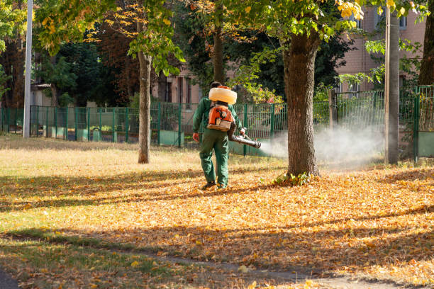 Best Pest Control Near Me in Englewood Cliffs, NJ