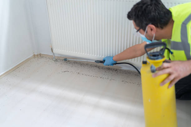 Best Pest Prevention Services  in Englewood Cliffs, NJ