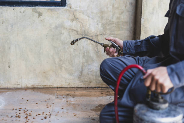 Best Pest Removal Services  in Englewood Cliffs, NJ